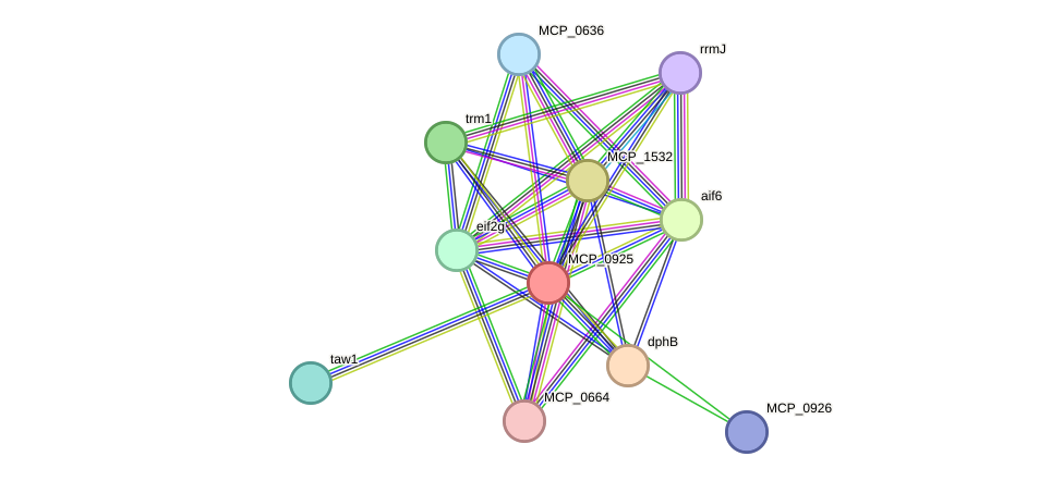 STRING protein interaction network