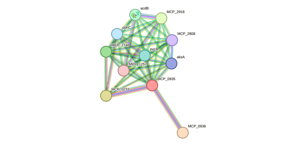 STRING protein interaction network