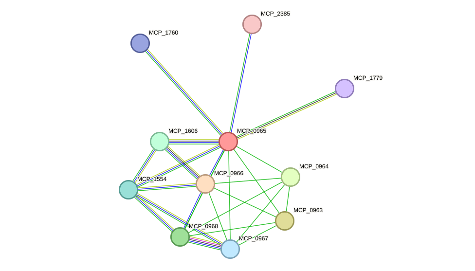 STRING protein interaction network