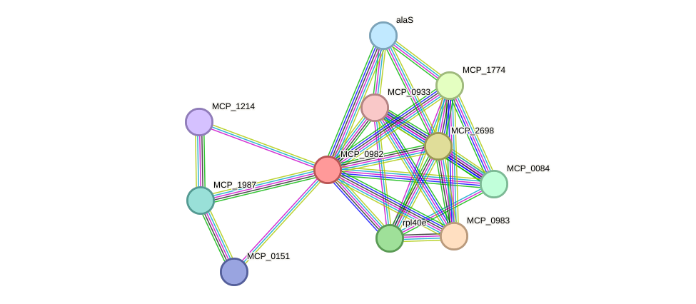 STRING protein interaction network