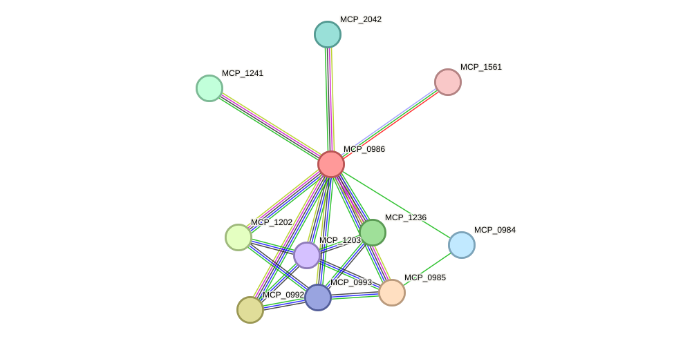 STRING protein interaction network