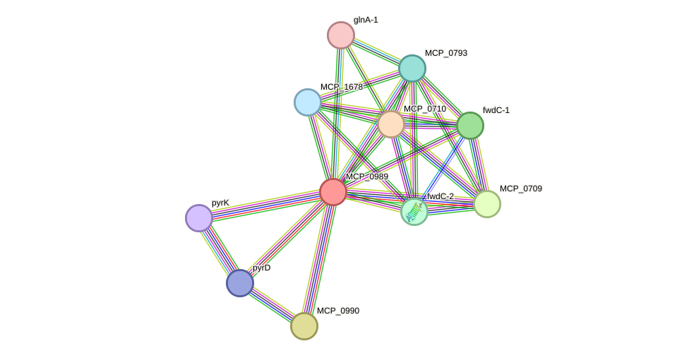 STRING protein interaction network