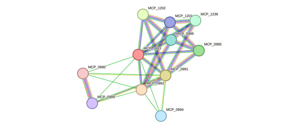 STRING protein interaction network