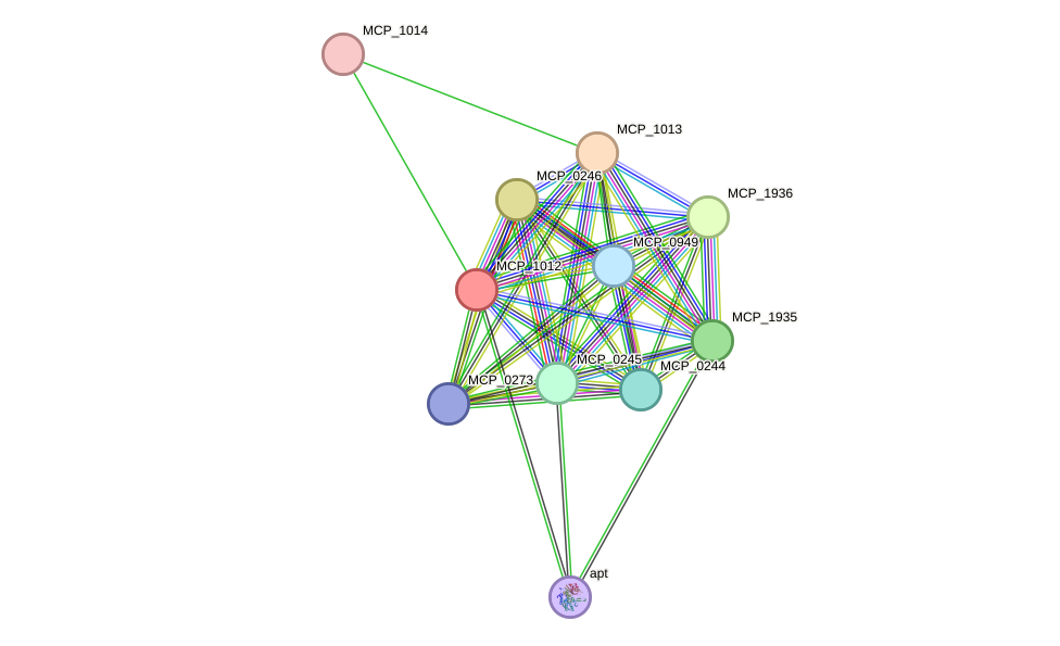 STRING protein interaction network