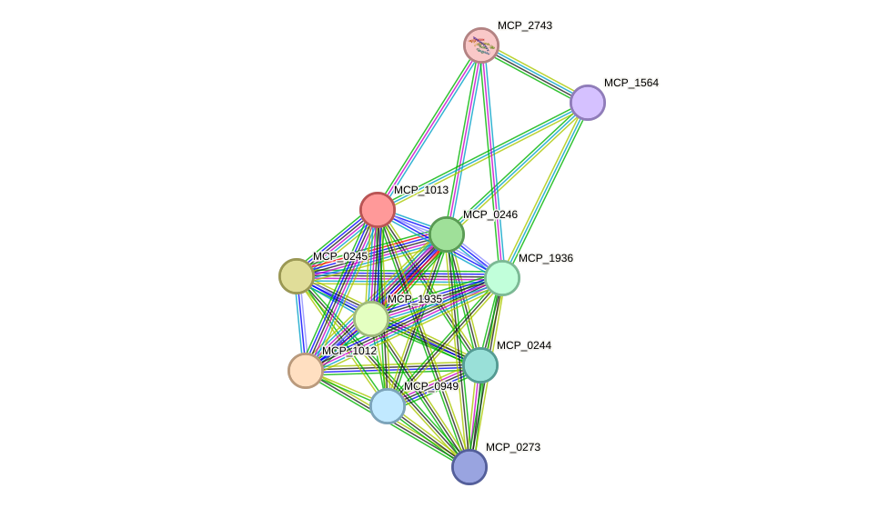 STRING protein interaction network