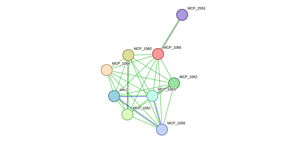 STRING protein interaction network