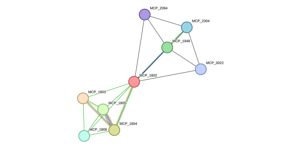 STRING protein interaction network
