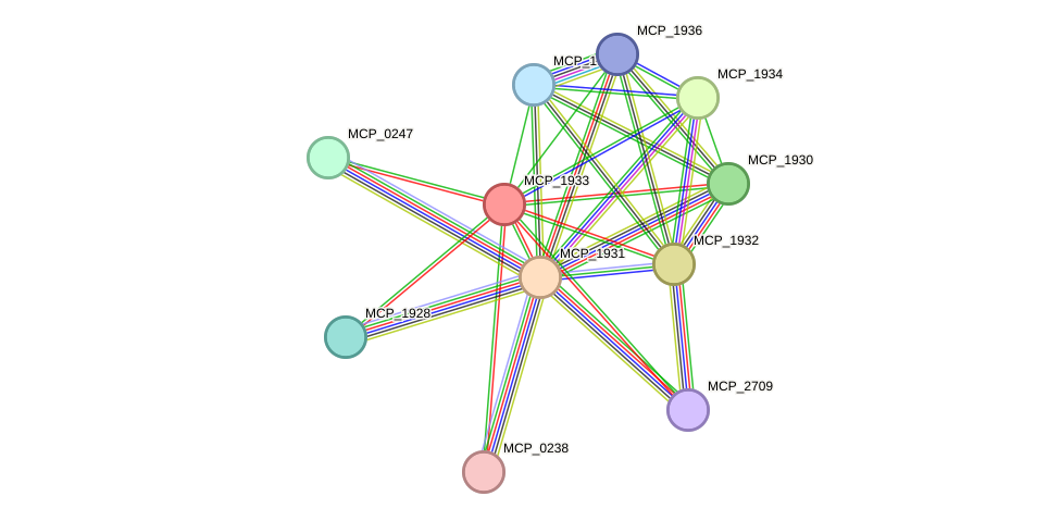 STRING protein interaction network