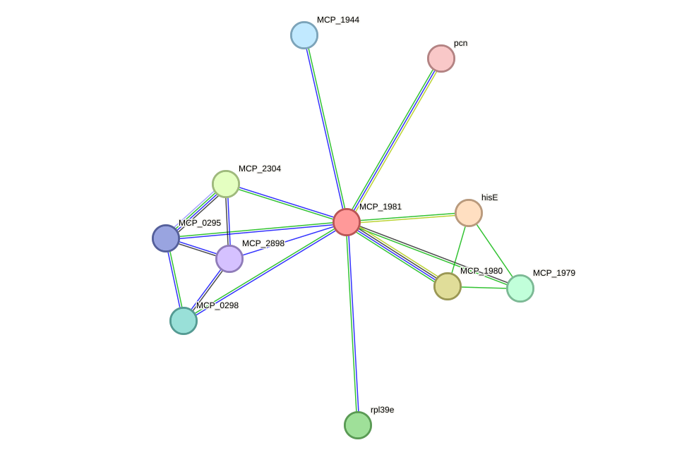 STRING protein interaction network