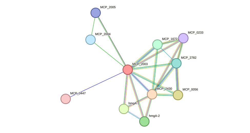 STRING protein interaction network