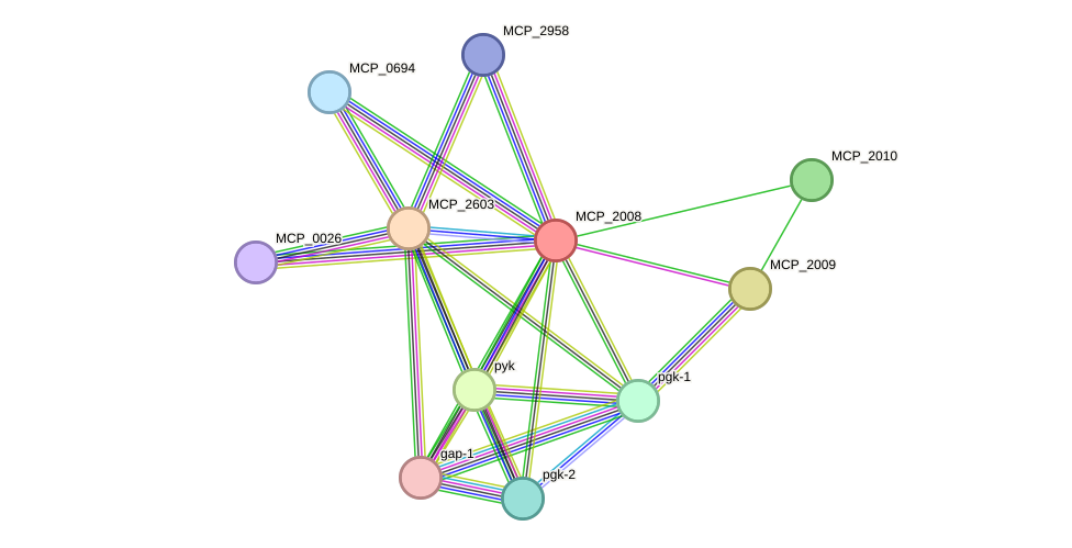 STRING protein interaction network