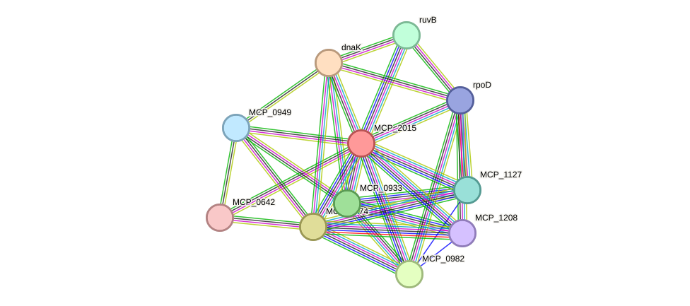 STRING protein interaction network