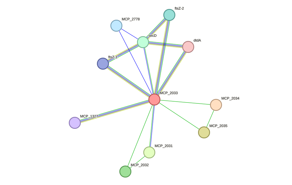 STRING protein interaction network