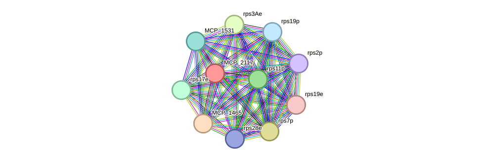 STRING protein interaction network