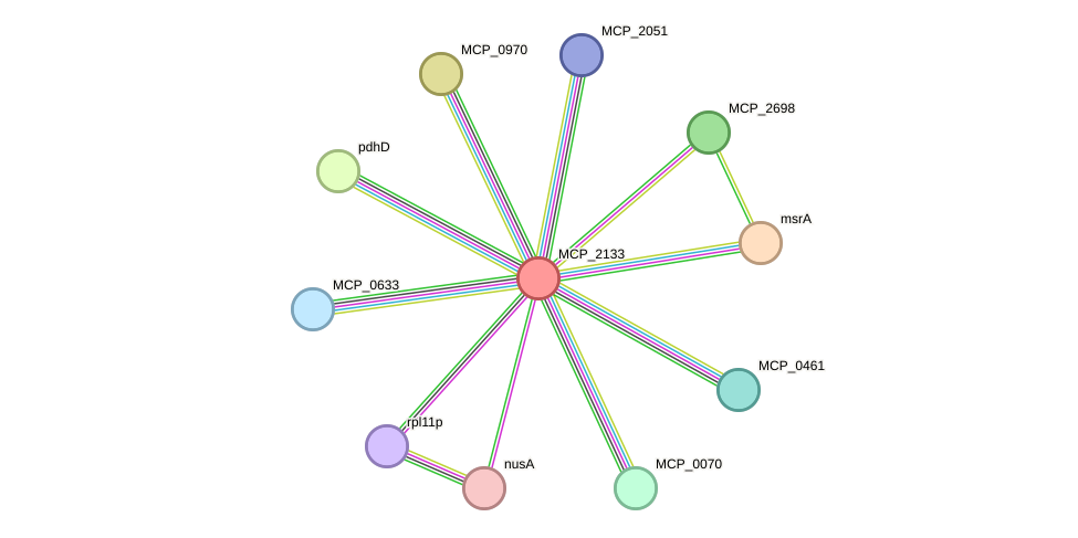 STRING protein interaction network