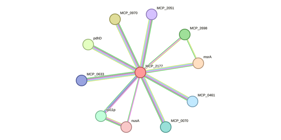 STRING protein interaction network