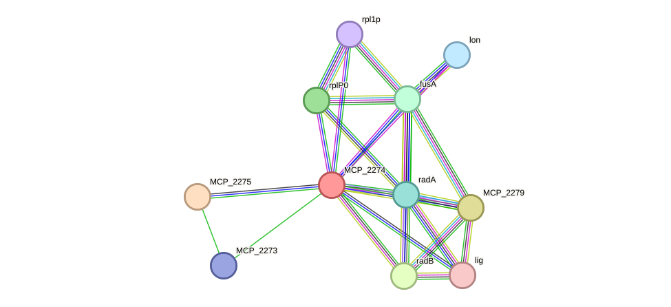 STRING protein interaction network