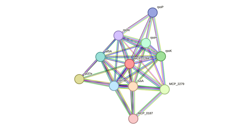 STRING protein interaction network