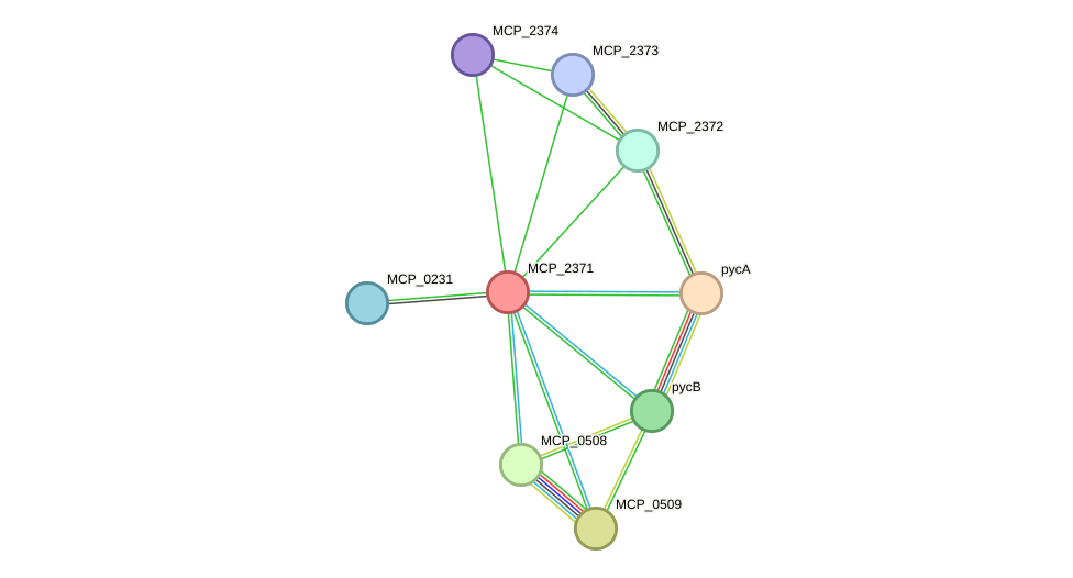 STRING protein interaction network