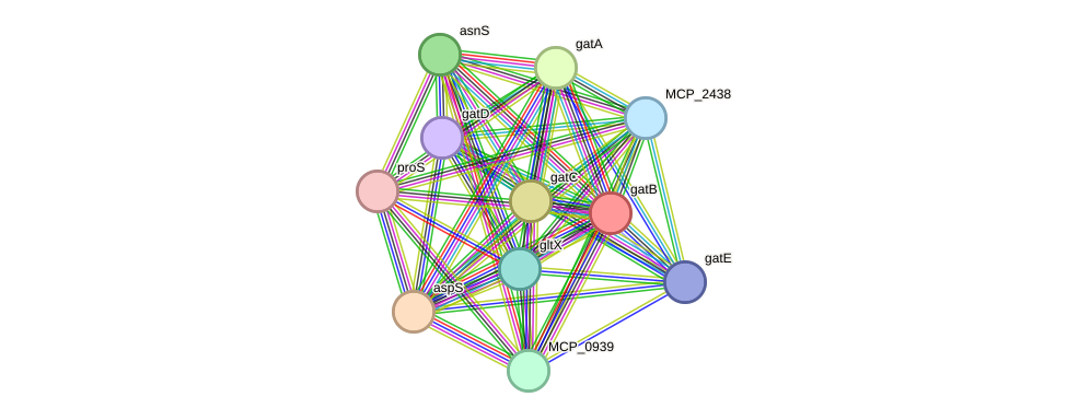 STRING protein interaction network
