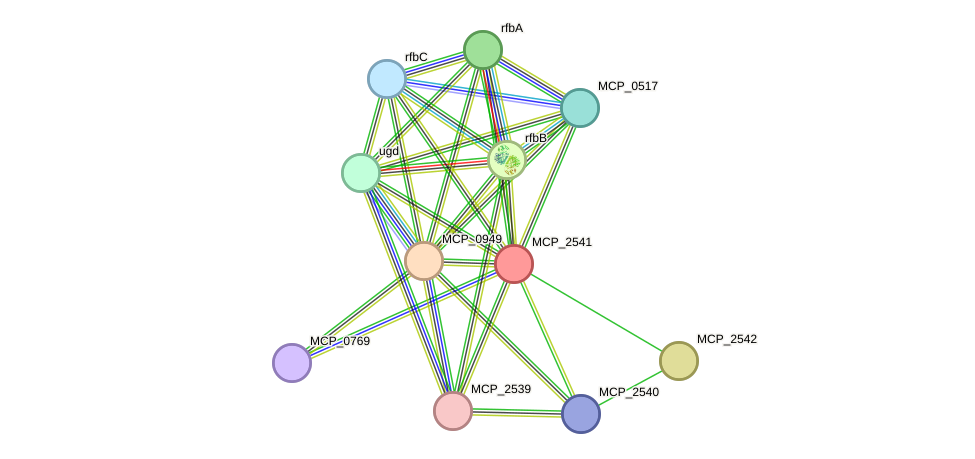 STRING protein interaction network