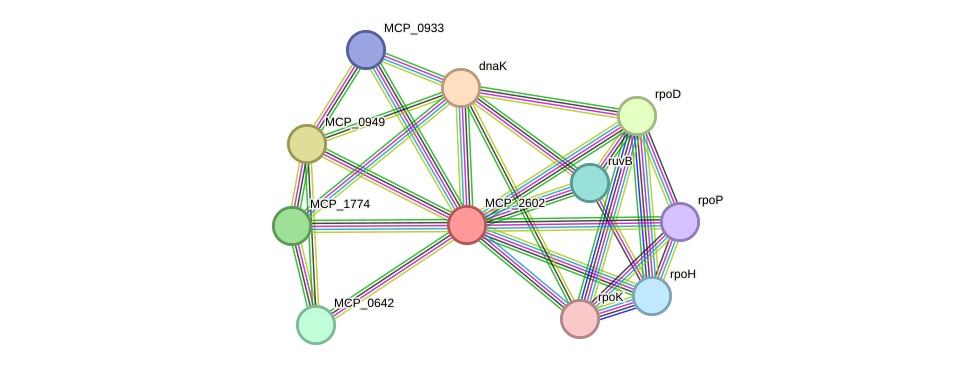 STRING protein interaction network