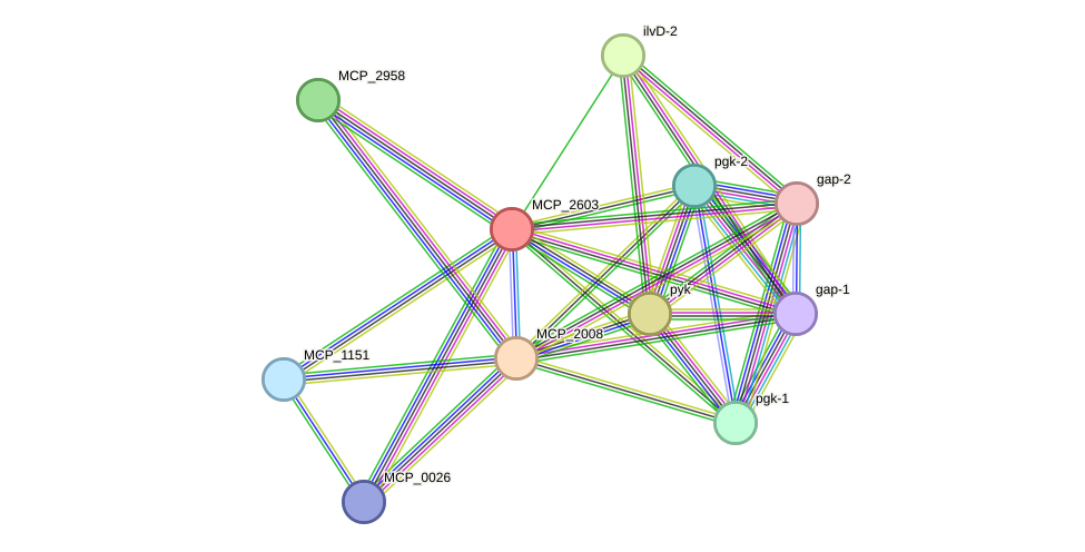 STRING protein interaction network