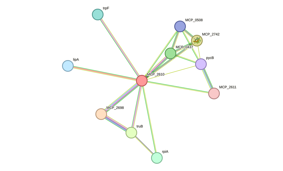 STRING protein interaction network