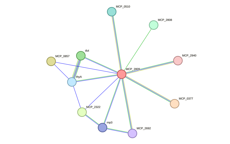 STRING protein interaction network