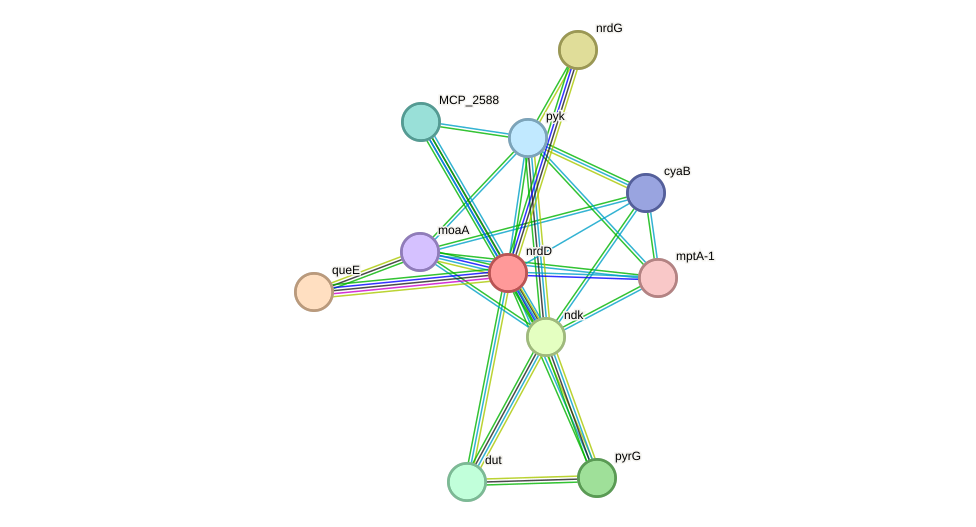 STRING protein interaction network