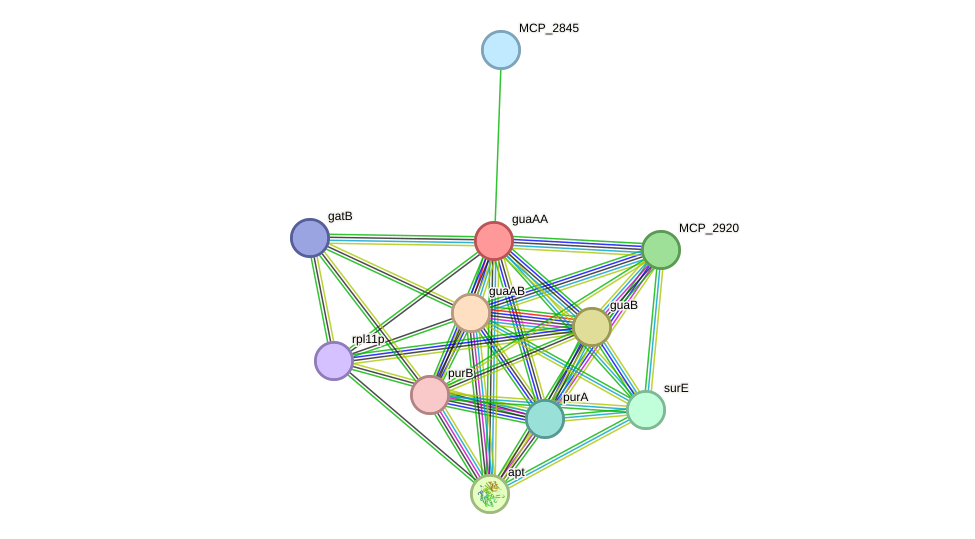 STRING protein interaction network