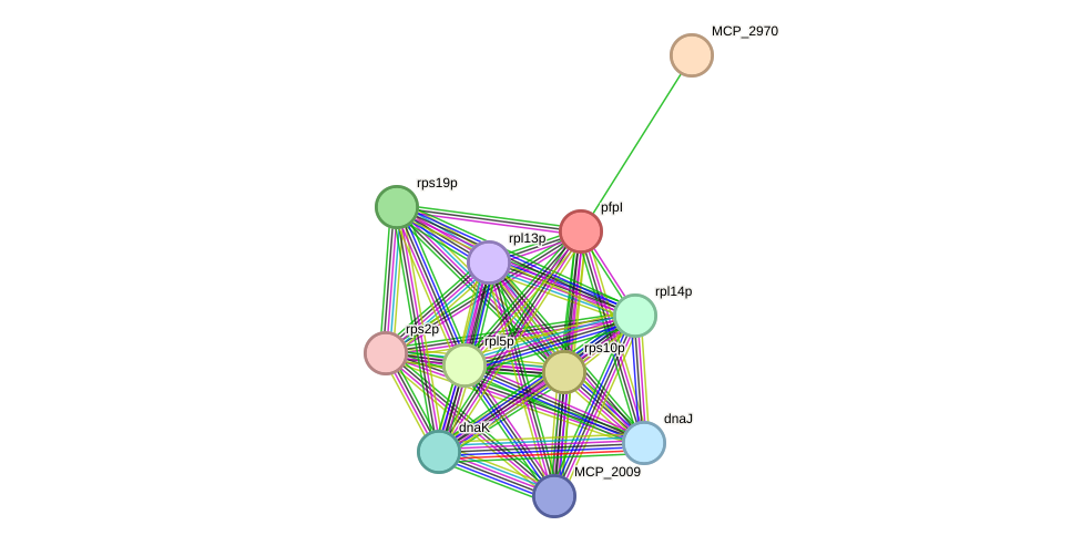 STRING protein interaction network