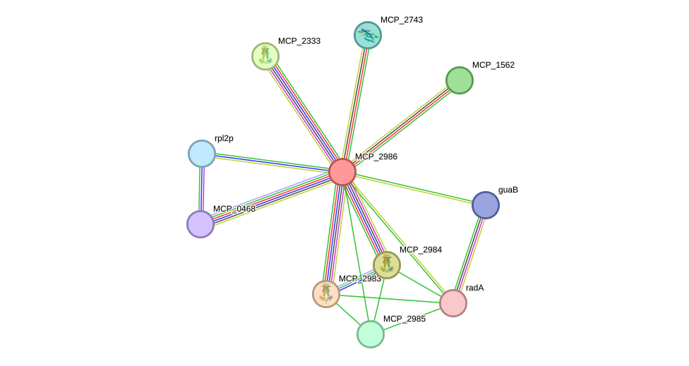STRING protein interaction network