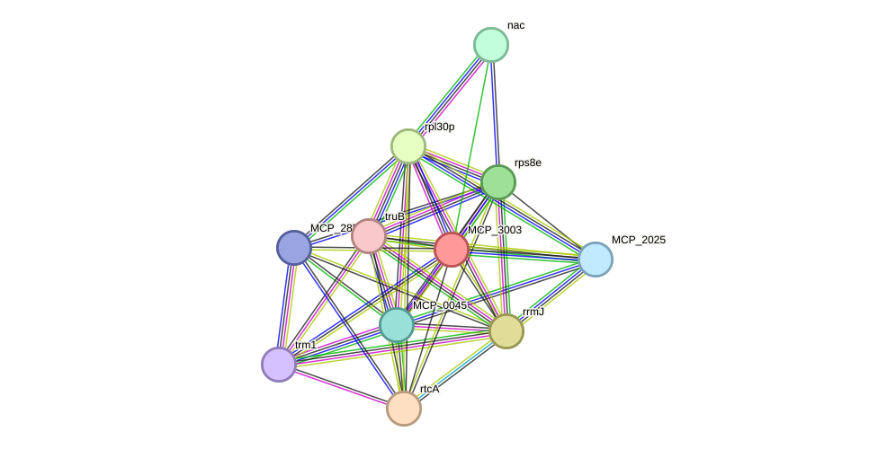 STRING protein interaction network
