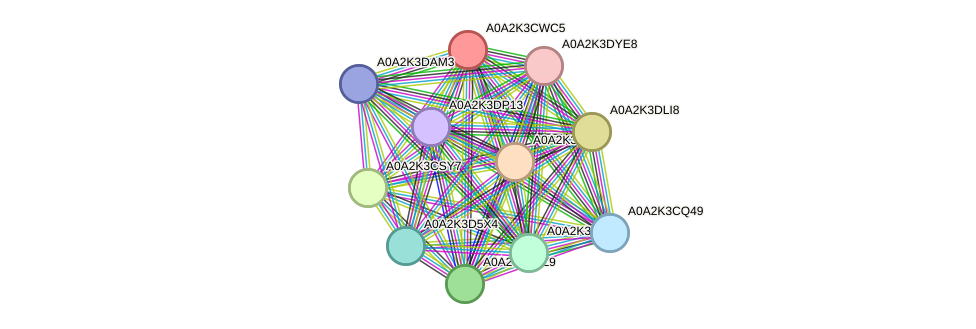 STRING protein interaction network