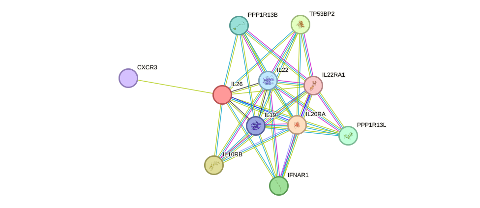 STRING protein interaction network