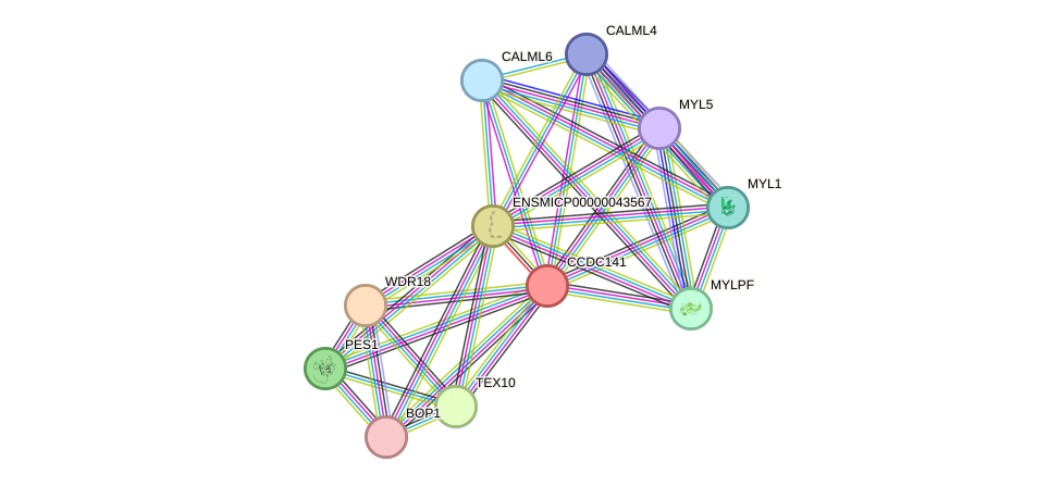 STRING protein interaction network