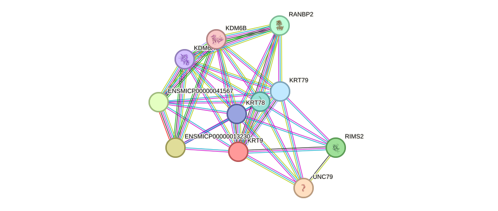 STRING protein interaction network