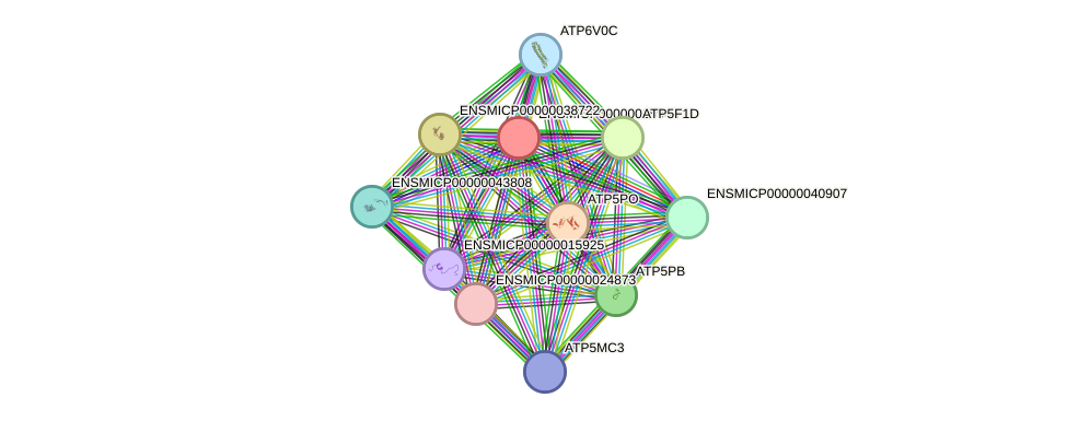 STRING protein interaction network