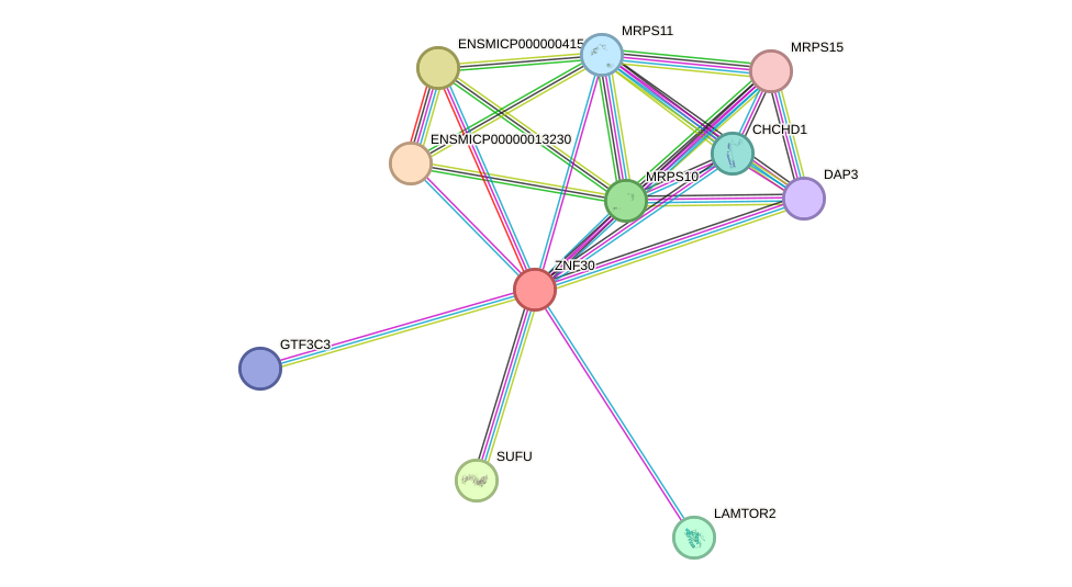 STRING protein interaction network