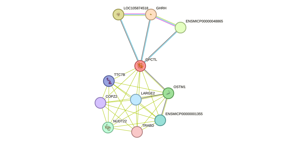 STRING protein interaction network