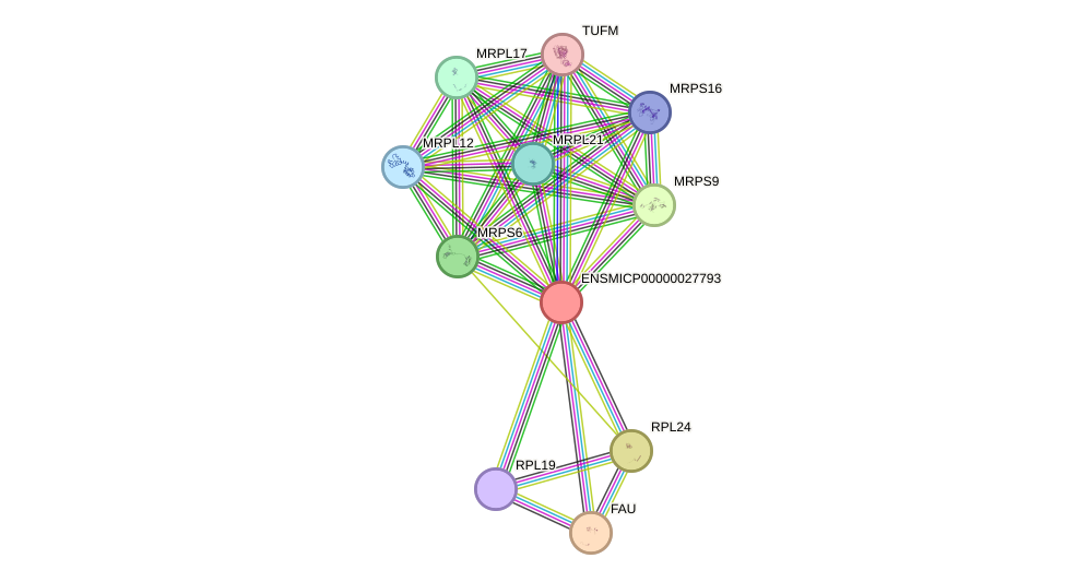 STRING protein interaction network