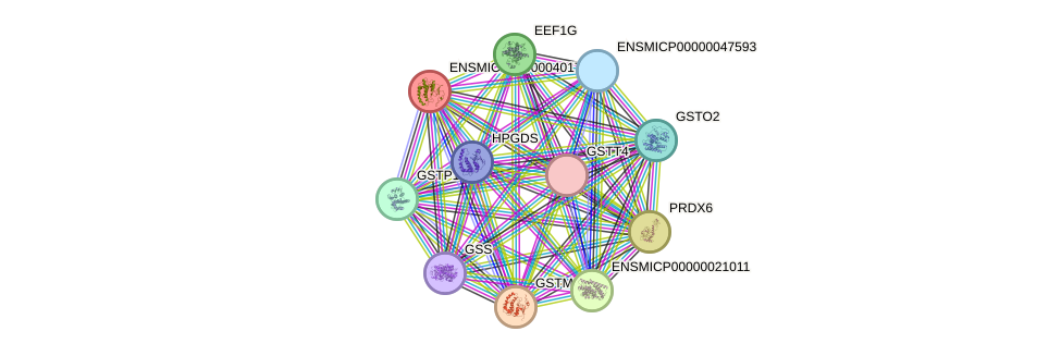 STRING protein interaction network