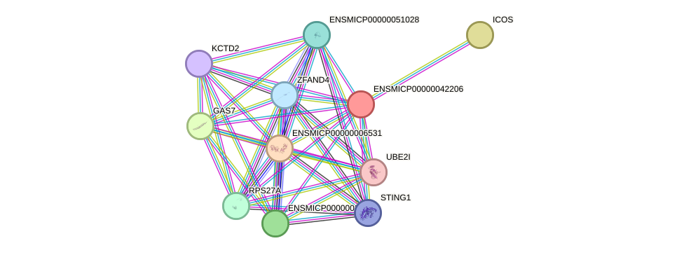 STRING protein interaction network