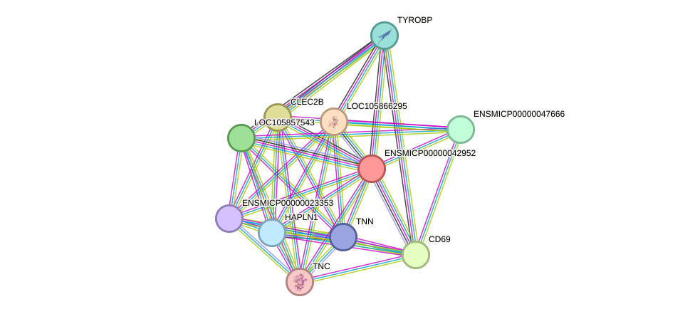 STRING protein interaction network