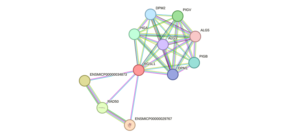 STRING protein interaction network