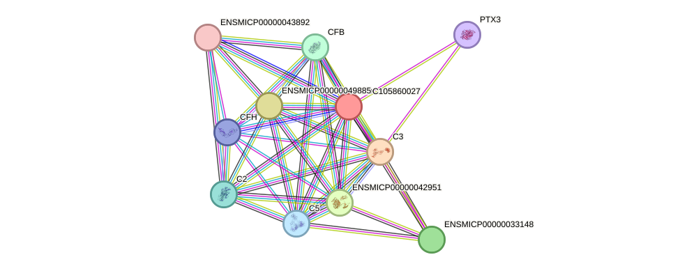 STRING protein interaction network