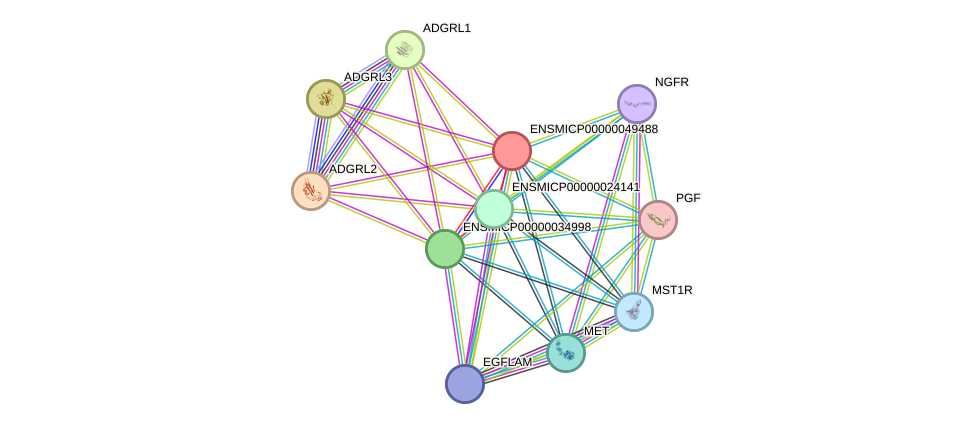 STRING protein interaction network