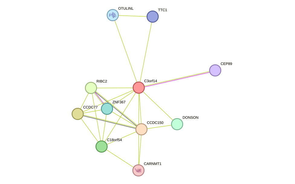 STRING protein interaction network