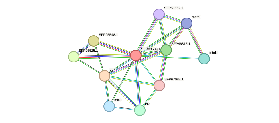 STRING protein interaction network